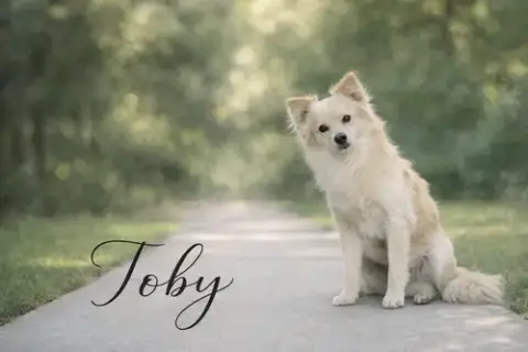 Toby photo 3