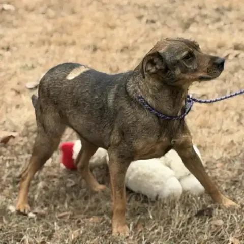 Lulu photo 2