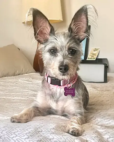 Coco