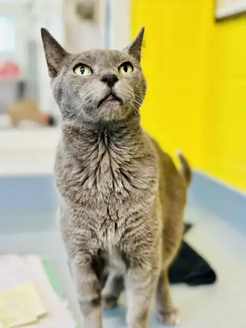 Gandalf photo 2