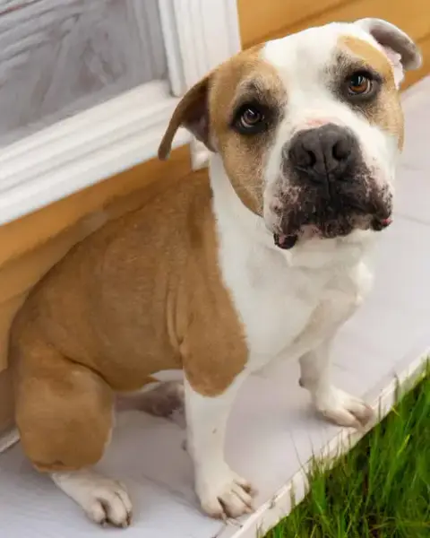 Oakley photo 4