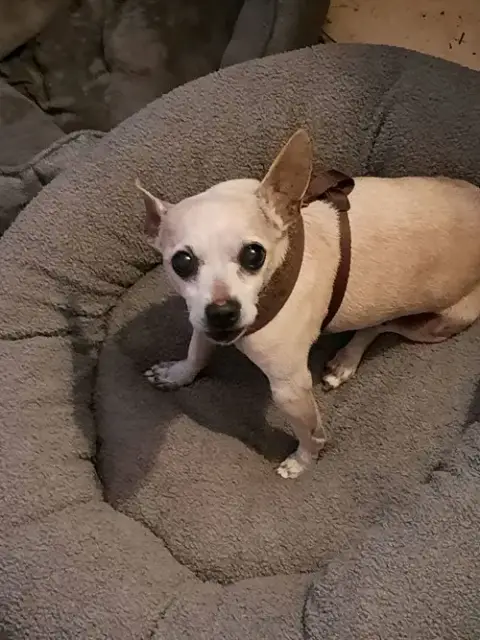 Walter photo 3