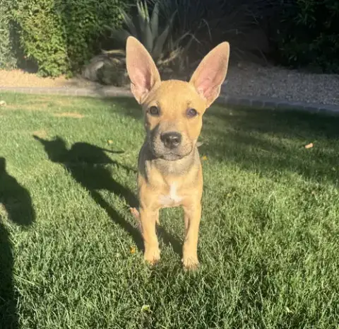 Luna