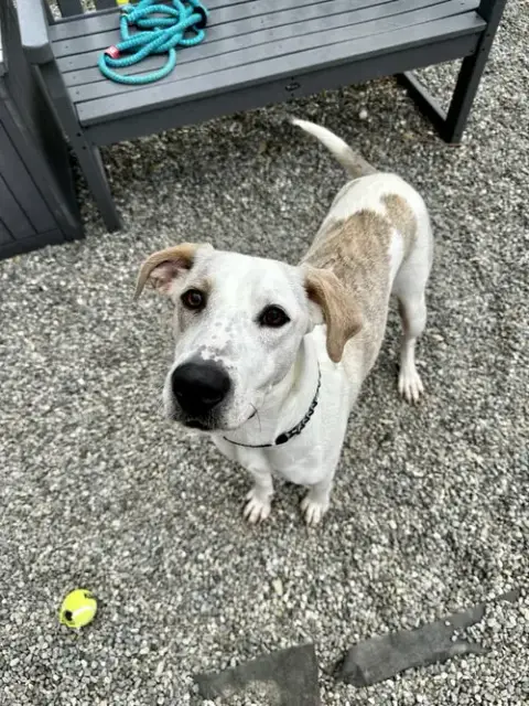 Elsa Louisiana photo 2
