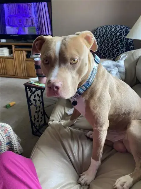 Murphy