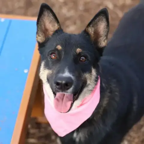 Sally Sue