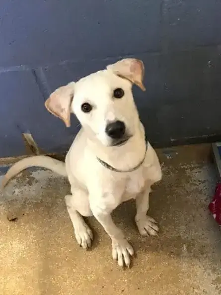 George photo 2