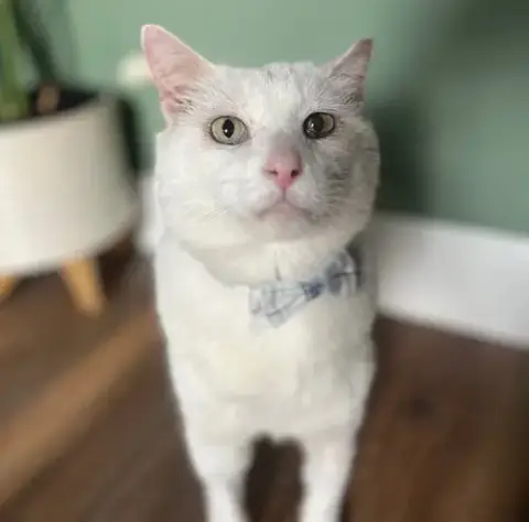 Theodore