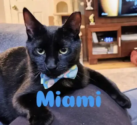 Miami