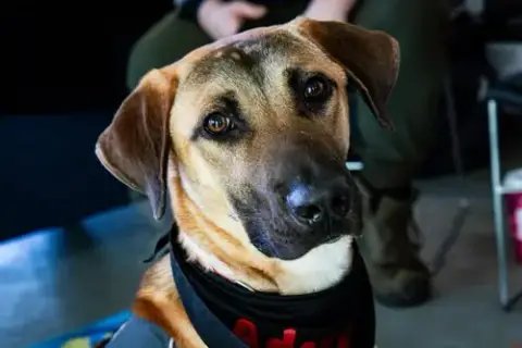 Ozzy photo 3