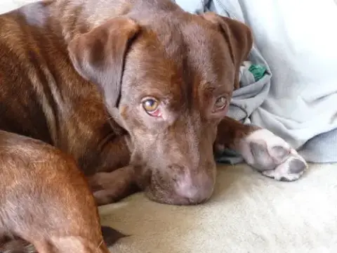 Rusty