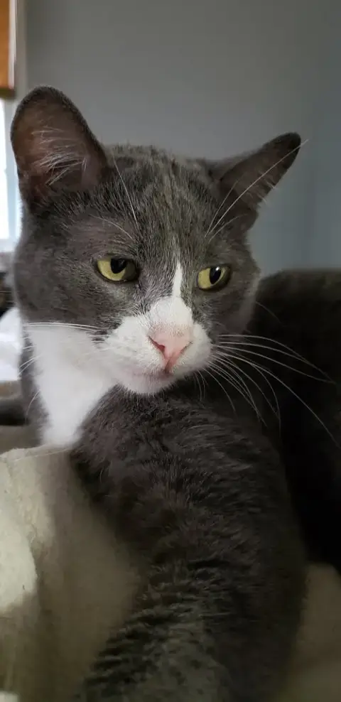 Eleanor