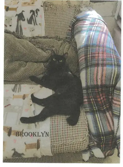 Brooklyn photo 2