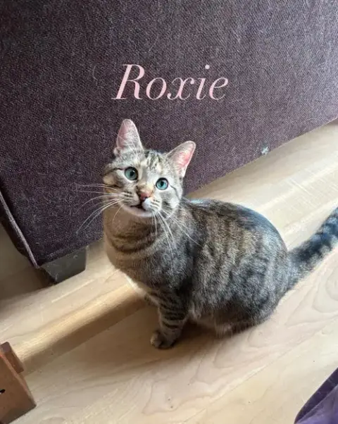 Roxie photo 2