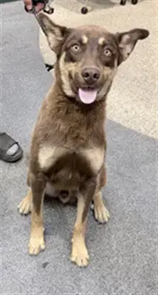 Tillz
