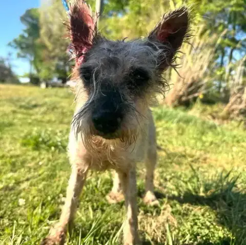 Zoe
