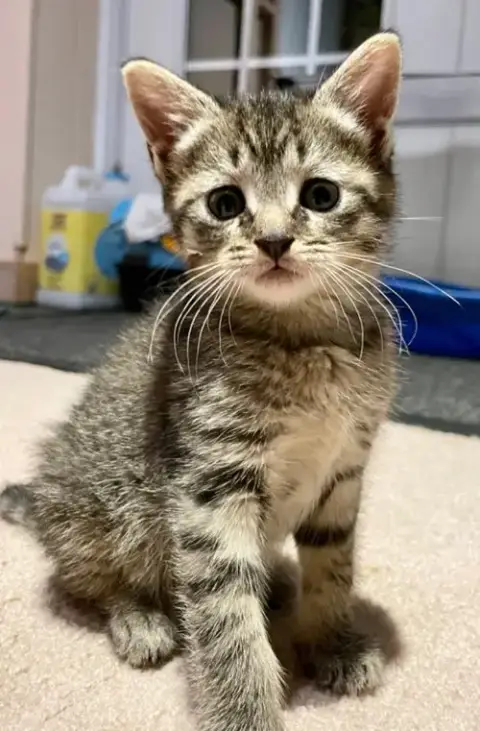 Erik