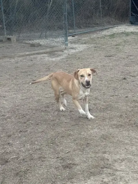 Grady