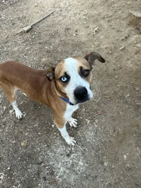 Zeus photo 4