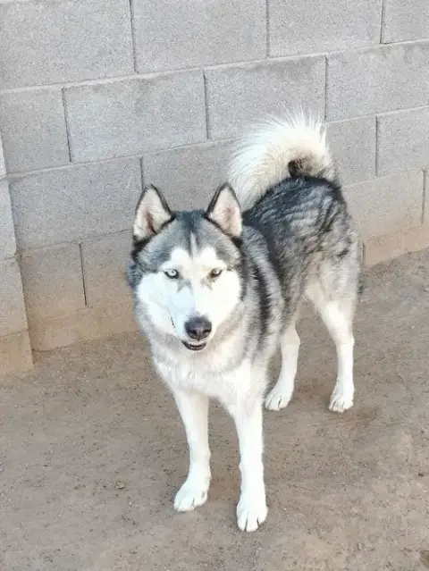 Ralph photo 2