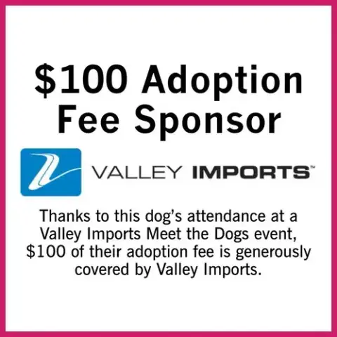 Hitch Trailblazer photo 4