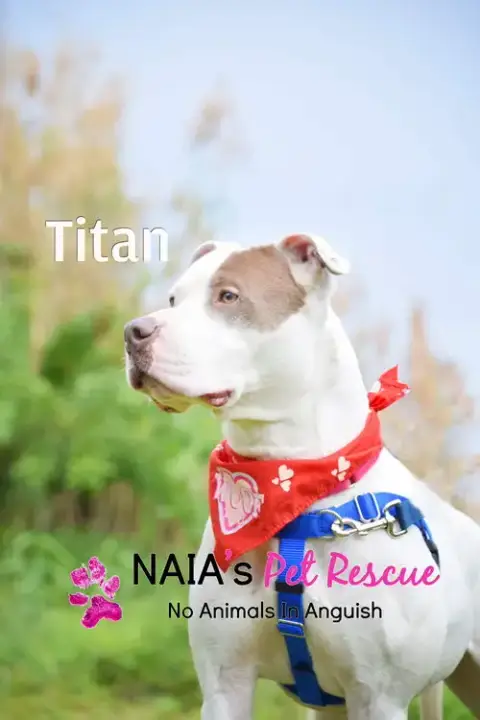 Titan photo 3