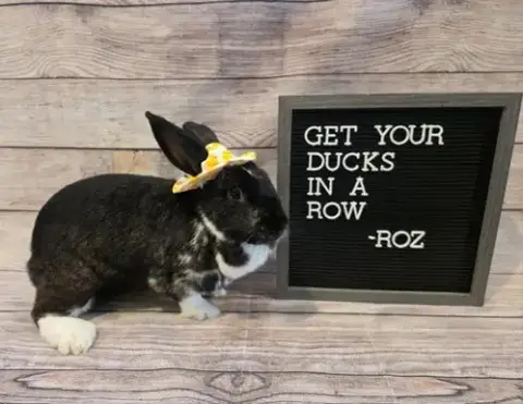 Roz