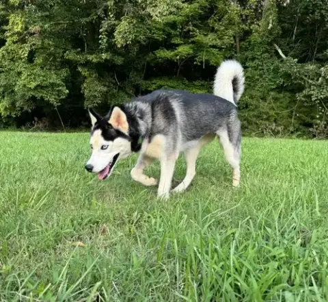 Lexie photo 3
