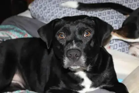 Kloe photo 2