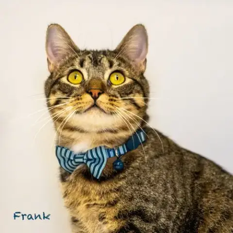 Frank photo 3