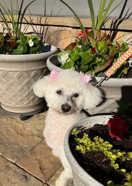 Lexie Gracie photo 4