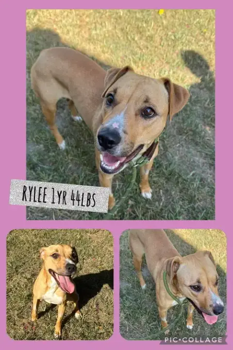 Rylee photo 4