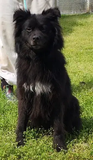 260383   Bear photo 4