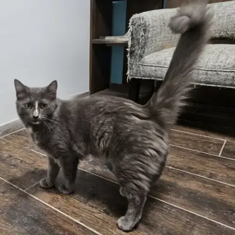 Delilah photo 2
