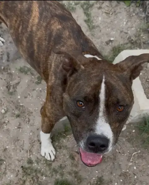 Cooper