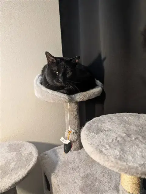 Eclipse