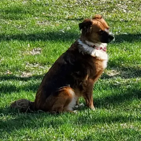 Vero