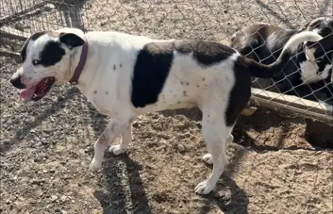 Ethel