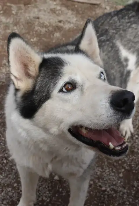 Zeus photo 4