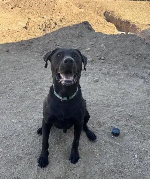 Buddy photo 3