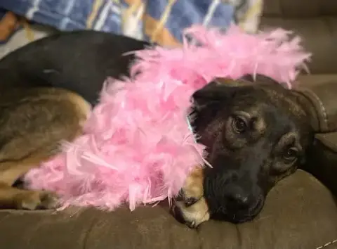 Zora "Hazel photo 3