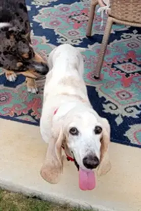 Mollie Mae