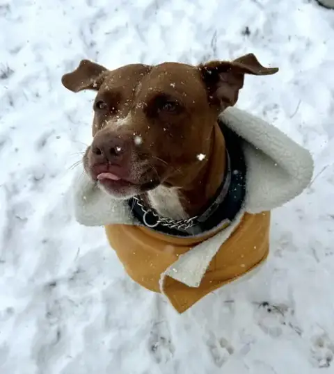 Missy