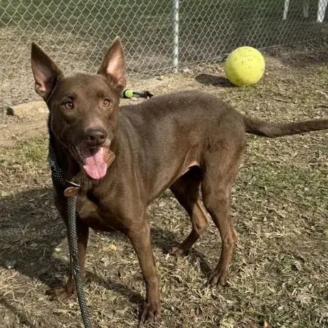 Coco