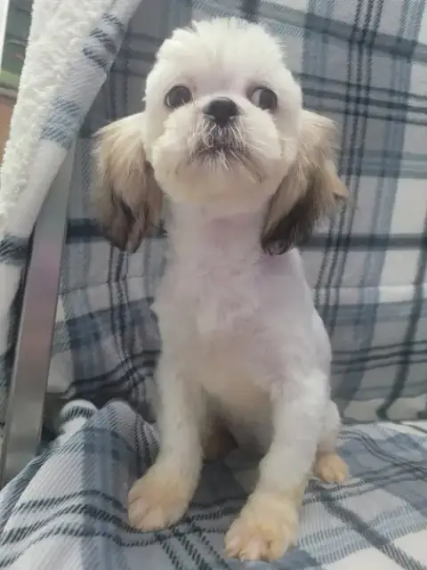 Sabrina photo 3