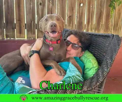 Charlene photo 4