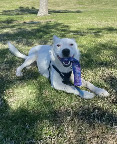 Casper photo 3