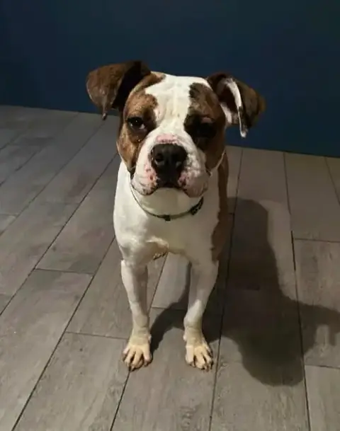 Billy