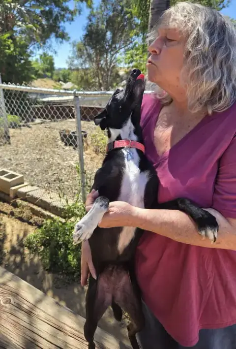 Fiona photo 5