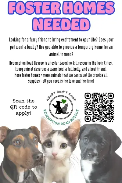 *Dog Fosters Needed*